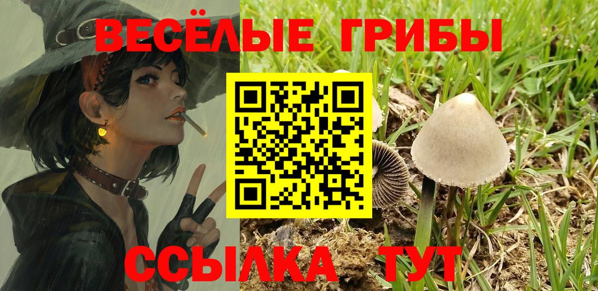 Лесозаводск  Псилоцибиновые грибы GOLDEN TEACHER  Вход с VPN 
