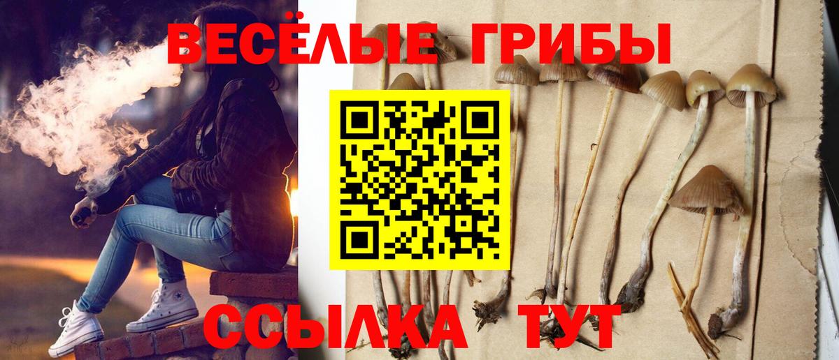 МЕФ   ГАШ  АМФ   Лесозаводск  Вход с VPN  Марихуана  Кокаин  ЭКСТАЗИ 